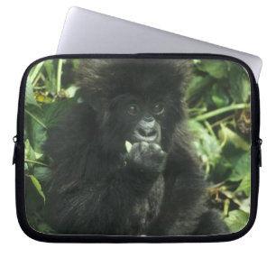 Mountain Gorilla, (Gorilla gorilla beringei), Laptop Sleeve