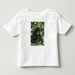 Mountain Gorilla, (Gorilla gorilla beringei), Toddler T-Shirt