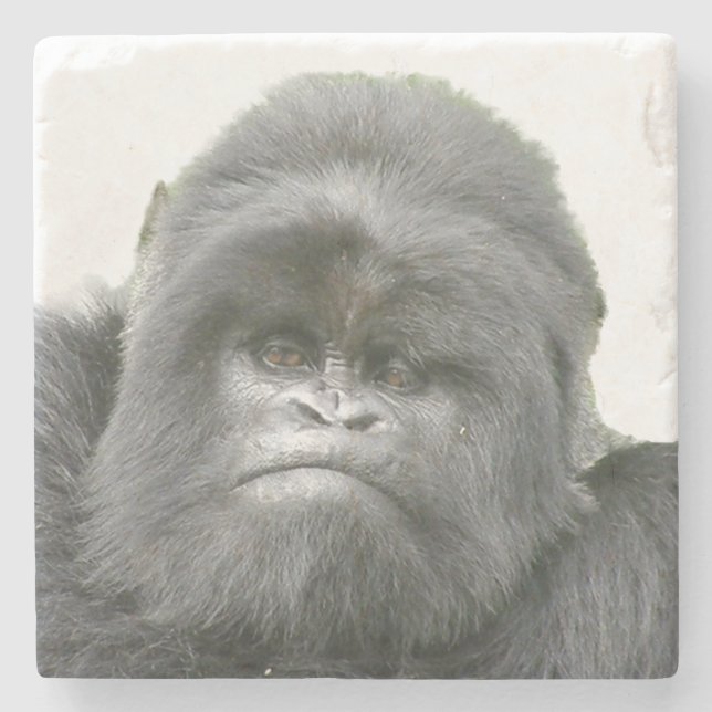 Mountain Gorilla Silverback Stone Coaster (Front)
