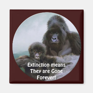 Mountain Gorillas Primate Wildlife Art Magnet