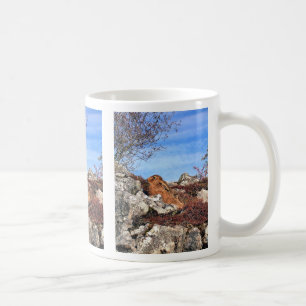 MOUNTAIN HARE COFFEE MUG