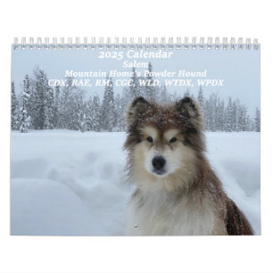 Mountain Home's Powder Hound CDX, RAE, RM, CGC, WL Calendar
