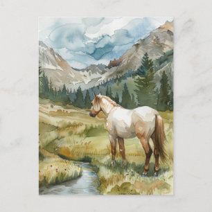 Mountain Horse Postcard