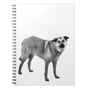 mountain hush notes, tibetan mix notebook