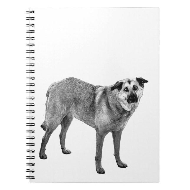 mountain hush notes, tibetan mix notebook (Front)