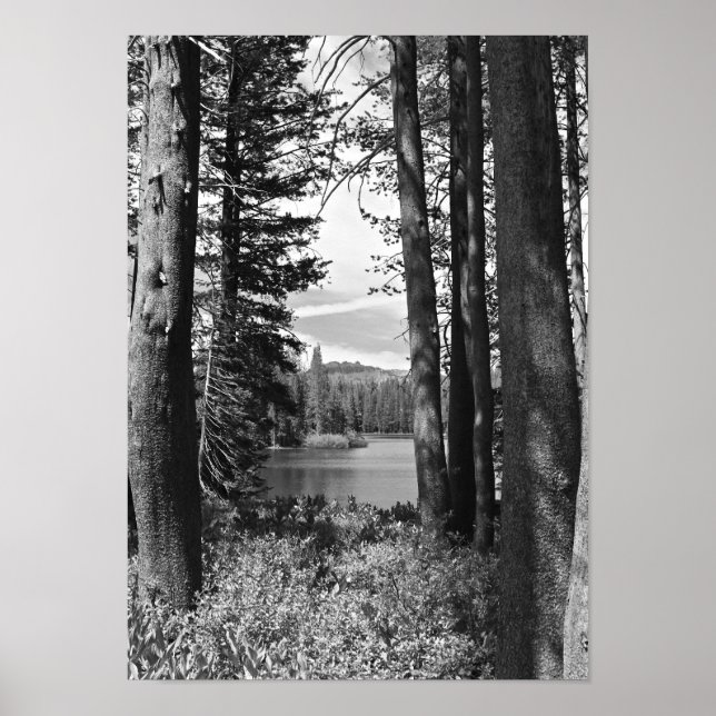 Mountain Lake, Forest, Black and White (portrait) Poster (Front)