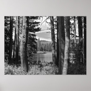 Mountain Lake, Forest, Black and White Poster