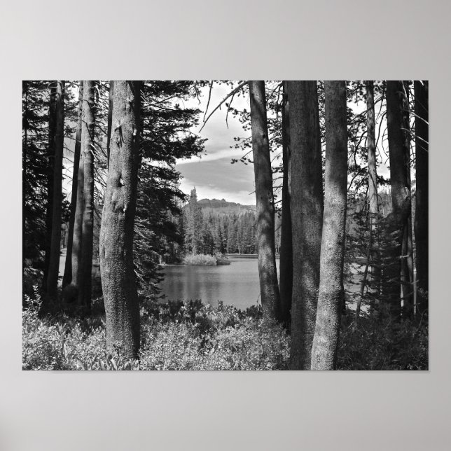 Mountain Lake, Forest, Black and White Poster (Front)