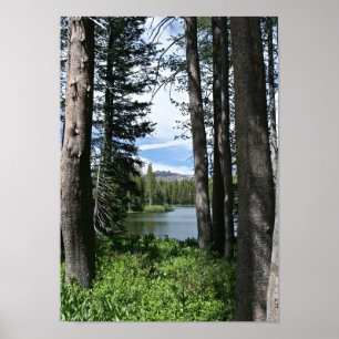 Mountain Lake, Forest (portrait) Poster