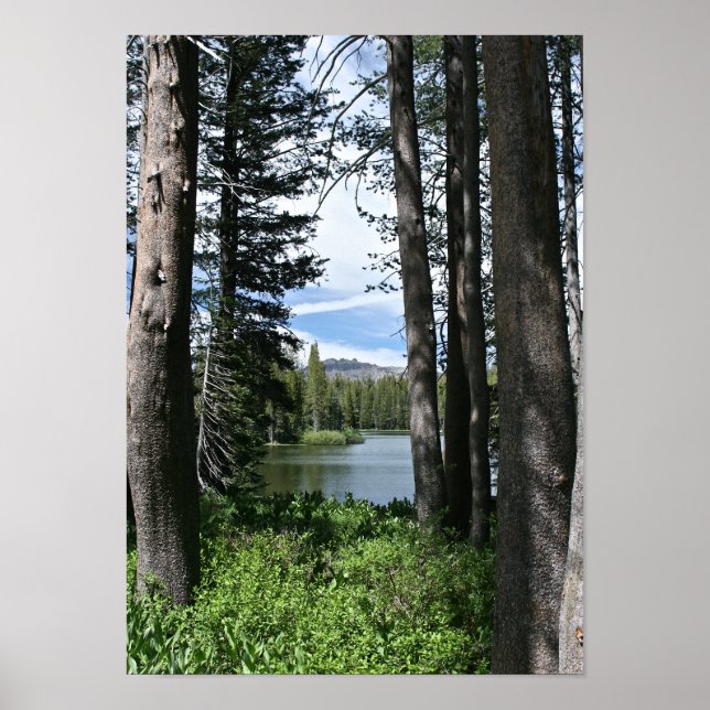 Mountain Lake, Forest (portrait) Poster (Front)