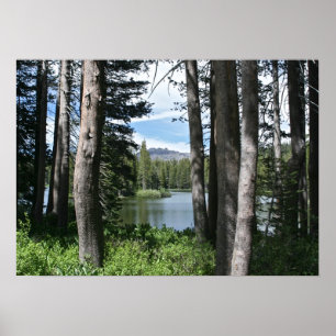 Mountain Lake, Forest Poster