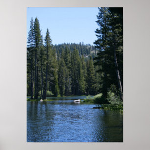Mountain Lake, Pine Tree Forest Poster