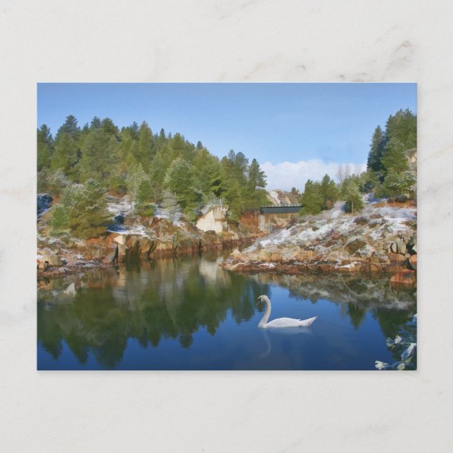 Mountain Lake, Swan, Reflections Postcard (Front)