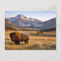 Mountain Landscape American Bison Thank You