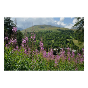 mountain landscape poster