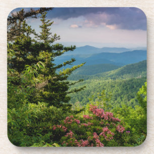 Mountain Laurel at Sunrise Coaster