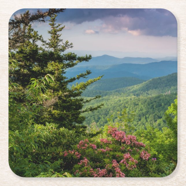 Mountain Laurel at Sunrise Square Paper Coaster (Front)