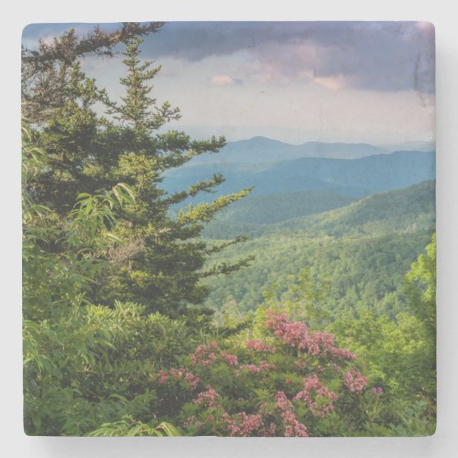 Mountain Laurel at Sunrise Stone Coaster (Front)