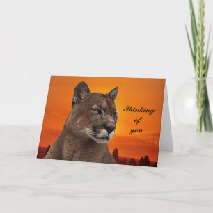 Mountain lion at sunset card
