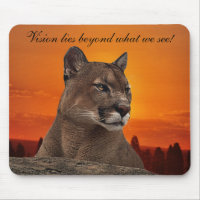 Mountain lion at sunset