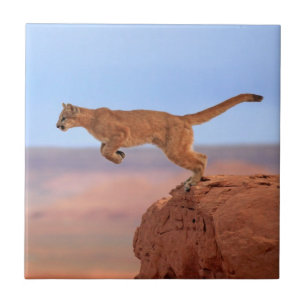 Mountain Lion Ceramic Tile