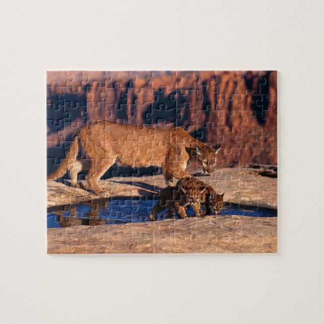 Mountain Lion Game Puzzle (Horizontal)