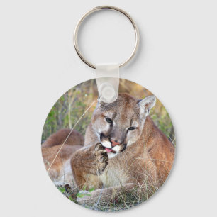 Mountain Lion - Hmmm Key Ring