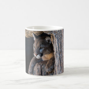 Mountain Lion in cave Coffee Mug