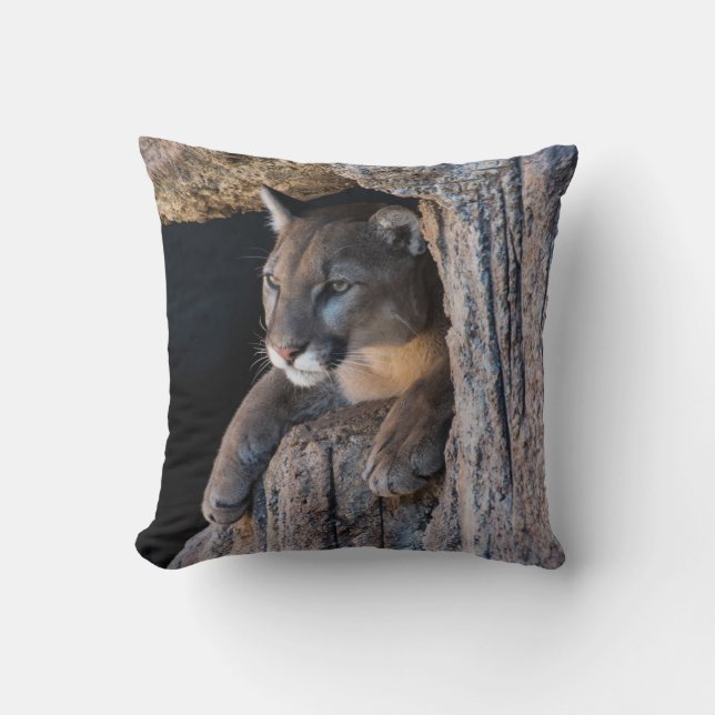 Mountain Lion in Cave Cushion (Front)