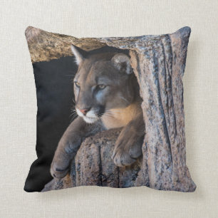 Mountain Lion in Cave Cushion