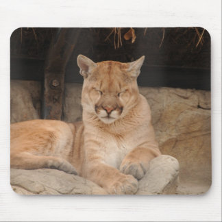Mountain Lion Mouse Pad