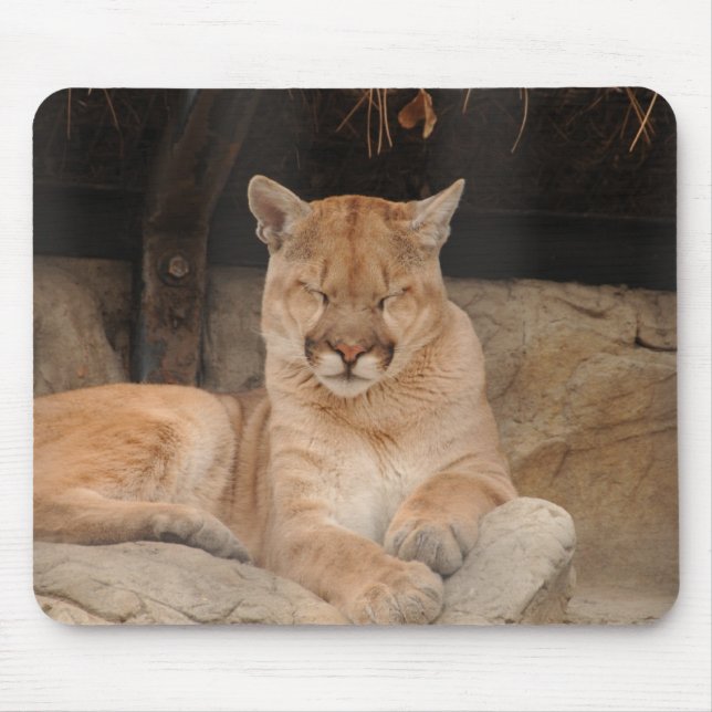 Mountain Lion Mouse Pad (Front)