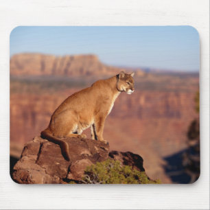 Mountain Lion Mouse Pad