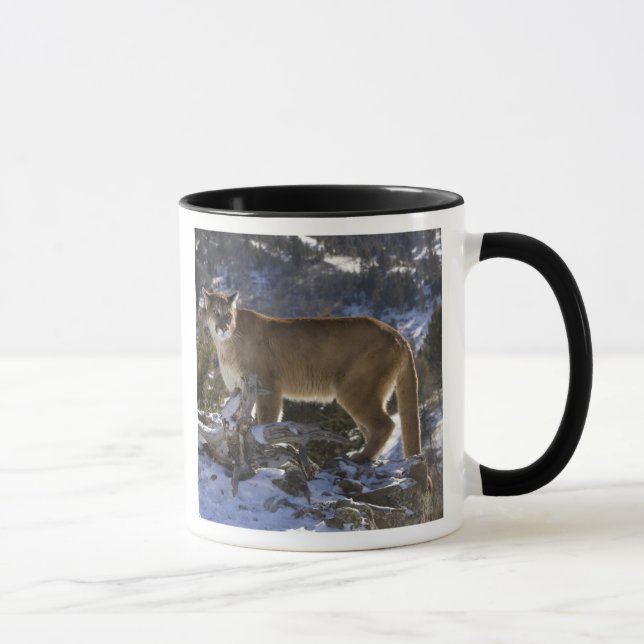 Mountain Lion Mug (Right)