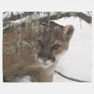 Mountain Lion on Fleece Blanket