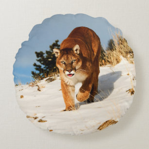 Mountain Lion on snowy hill Round Cushion