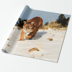 Mountain Lion on snowy hill Wrapping Paper
