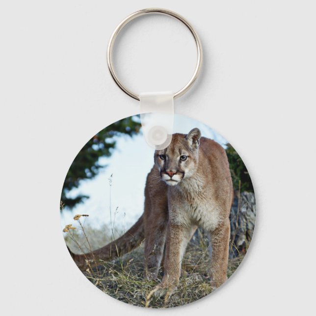 Mountain Lion on the Mountain Key Ring (Front)