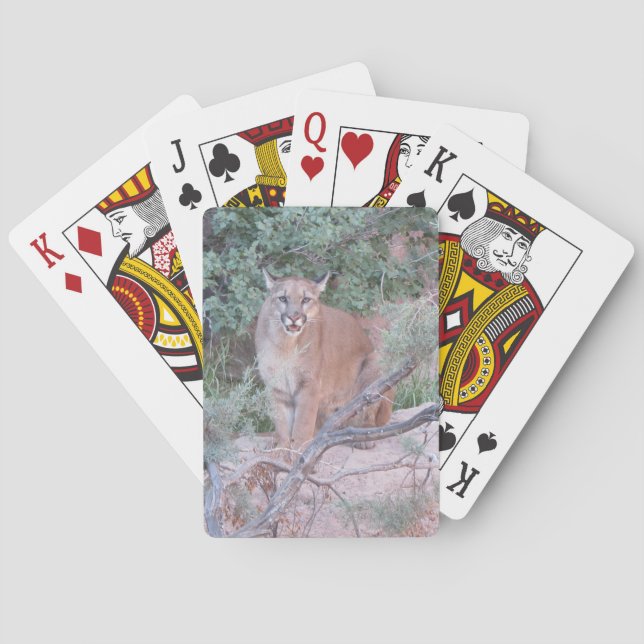 Mountain Lion Playing Cards (Back)