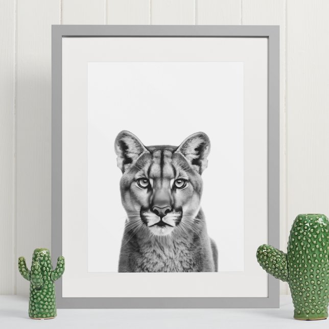 Mountain Lion Puma Big Cat Black White  Poster (Creator Uploaded)
