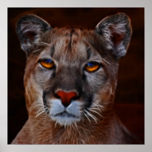 Mountain lion puma poster