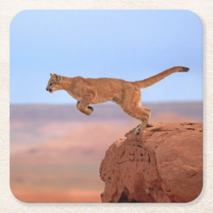 Mountain Lion Square Paper Coaster