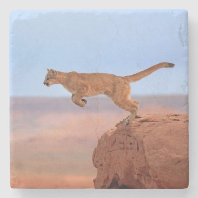 Mountain Lion Stone Coaster (Front)