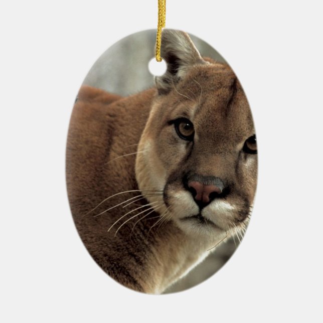 Mountain Lion Striking a Pose Ceramic Tree Decoration (Front)