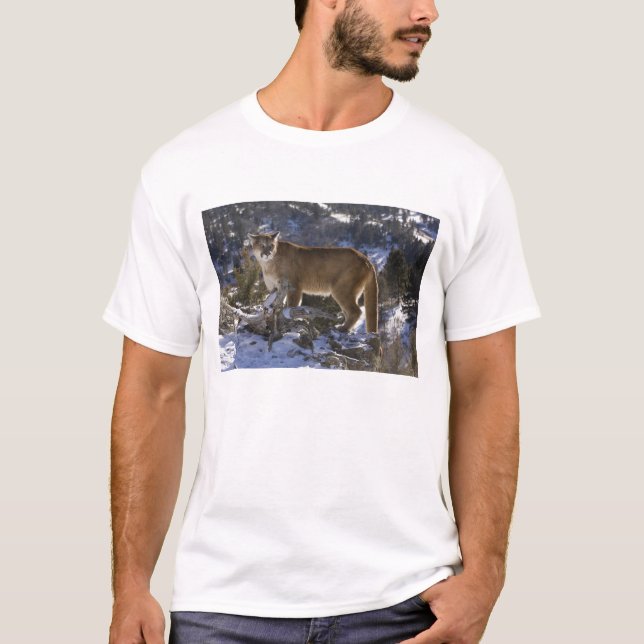 Mountain Lion T-Shirt (Front)