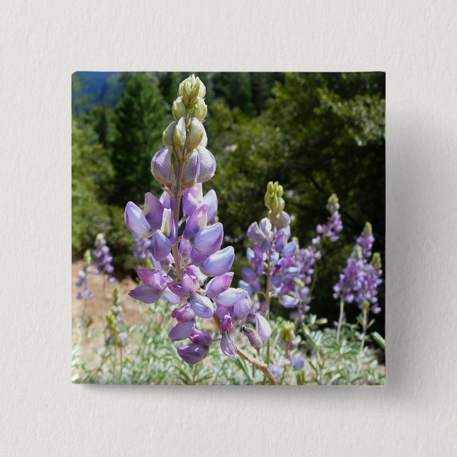 Mountain Lupins at Yosemite 15 Cm Square Badge (Front)
