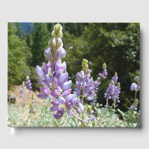 Mountain Lupins at Yosemite Guest Book