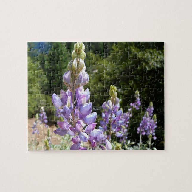 Mountain Lupins at Yosemite Jigsaw Puzzle (Horizontal)