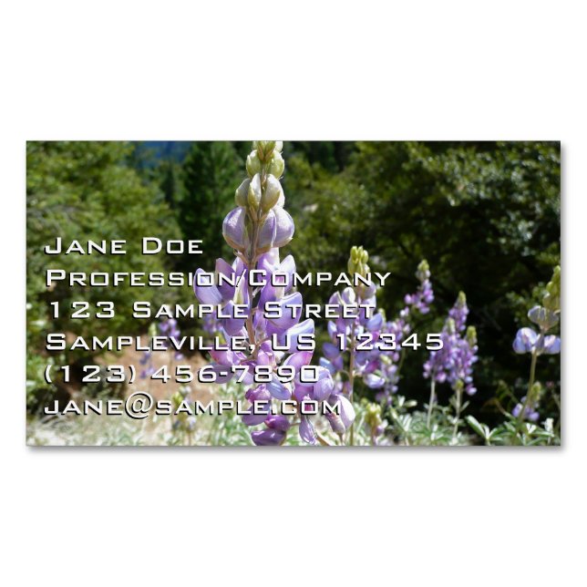 Mountain Lupins at Yosemite Magnetic Business Card (Front)