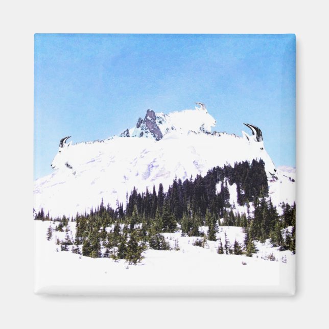 Mountain of Goats Magnet (Front)